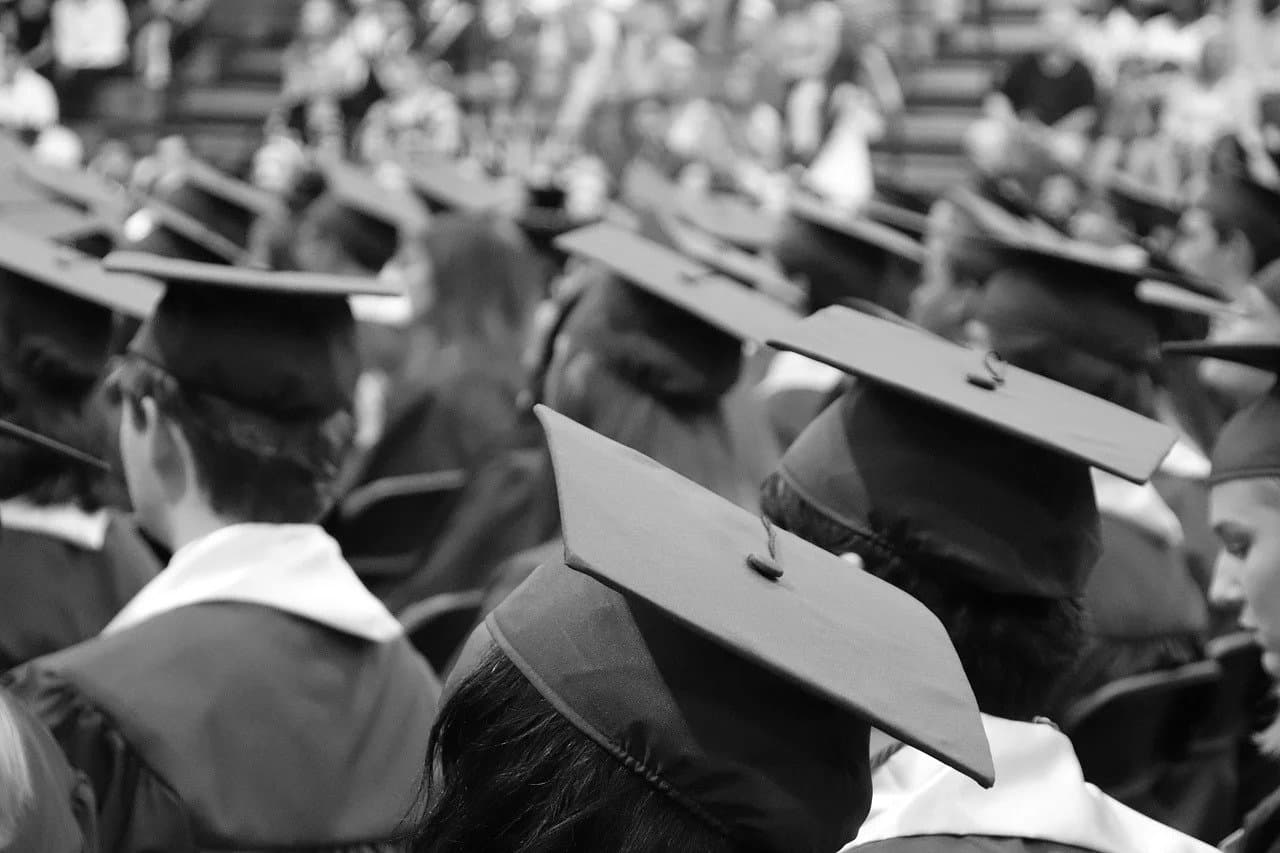 Do You Need a University Degree?