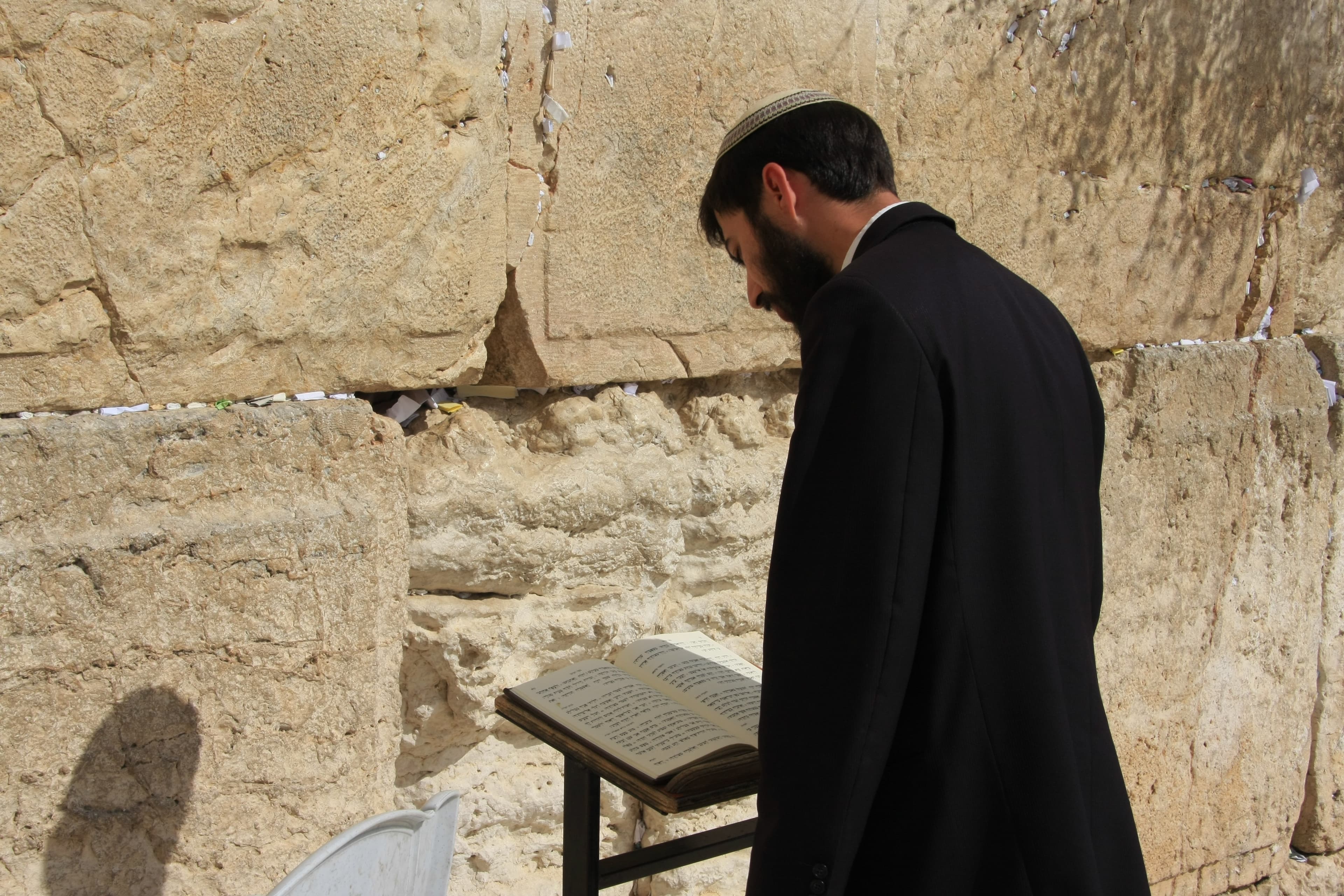 Palestine Will Not Survive: A Commentary
