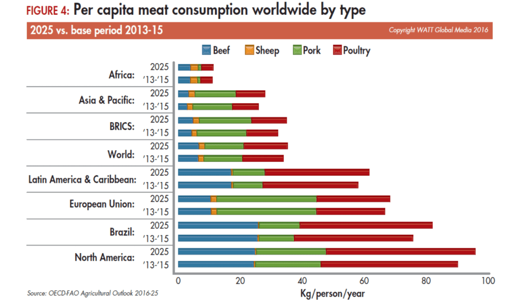 Table showing a breakdown of the global meat consumption.