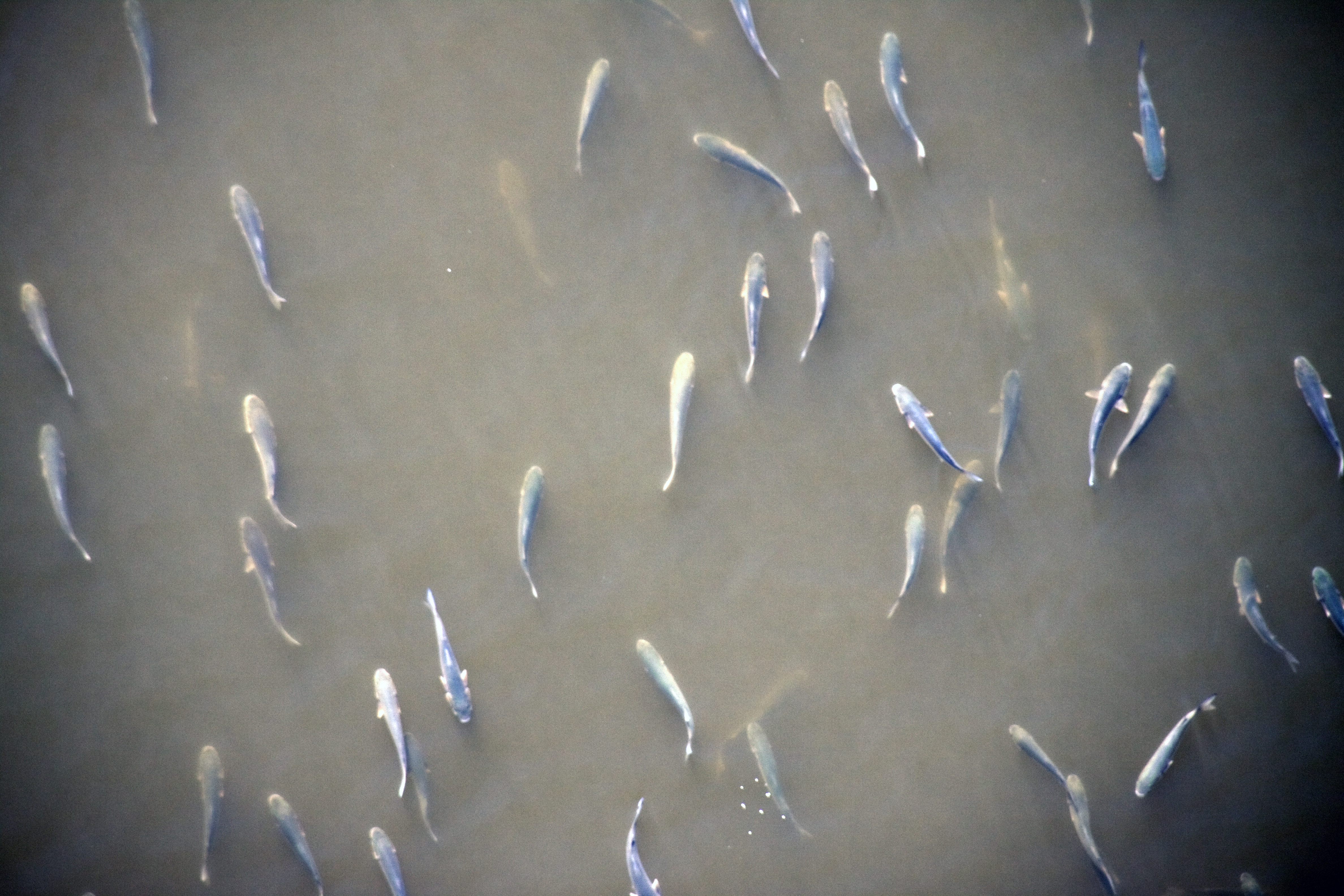 How much You is in You?