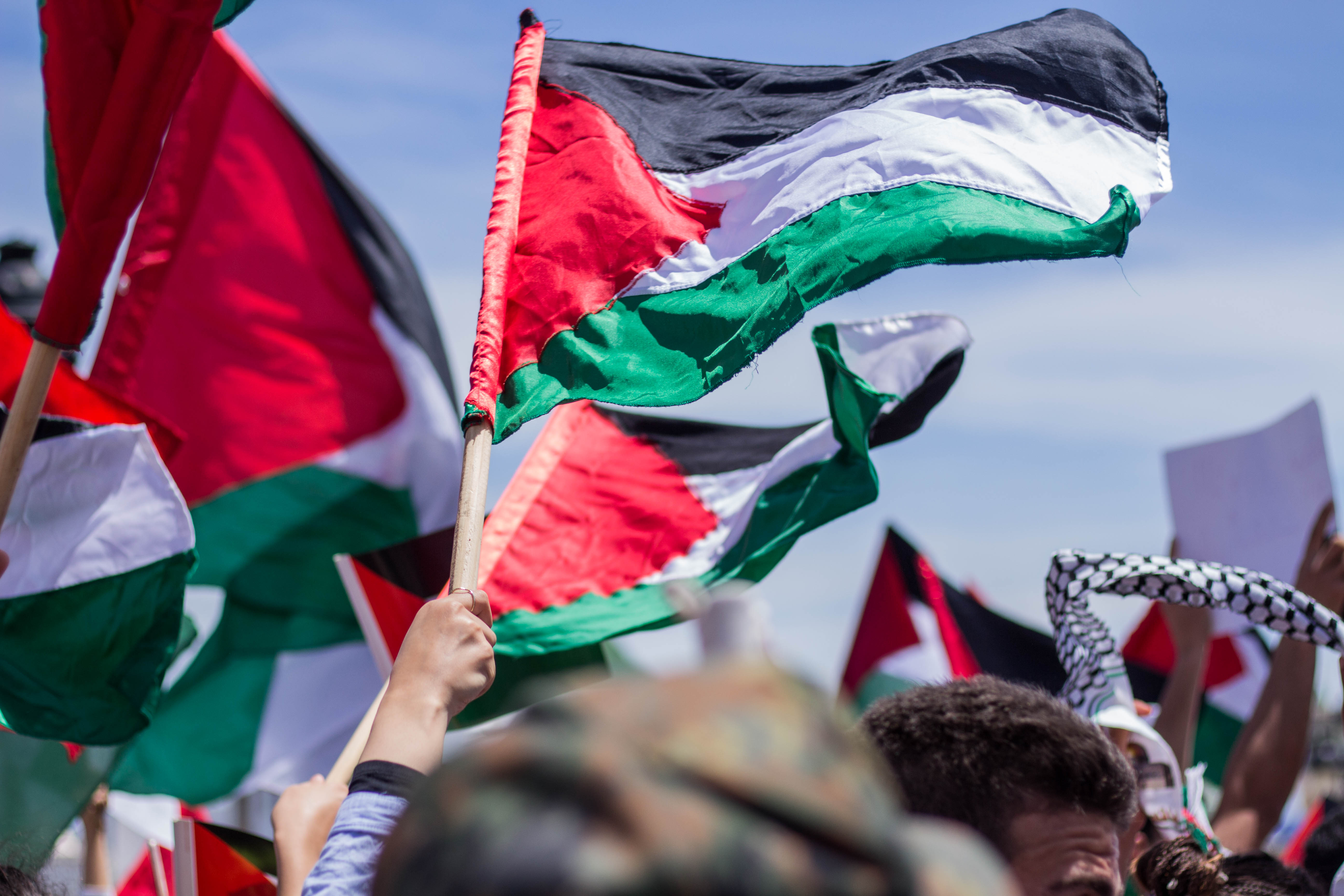 Protest for Palestine statehood