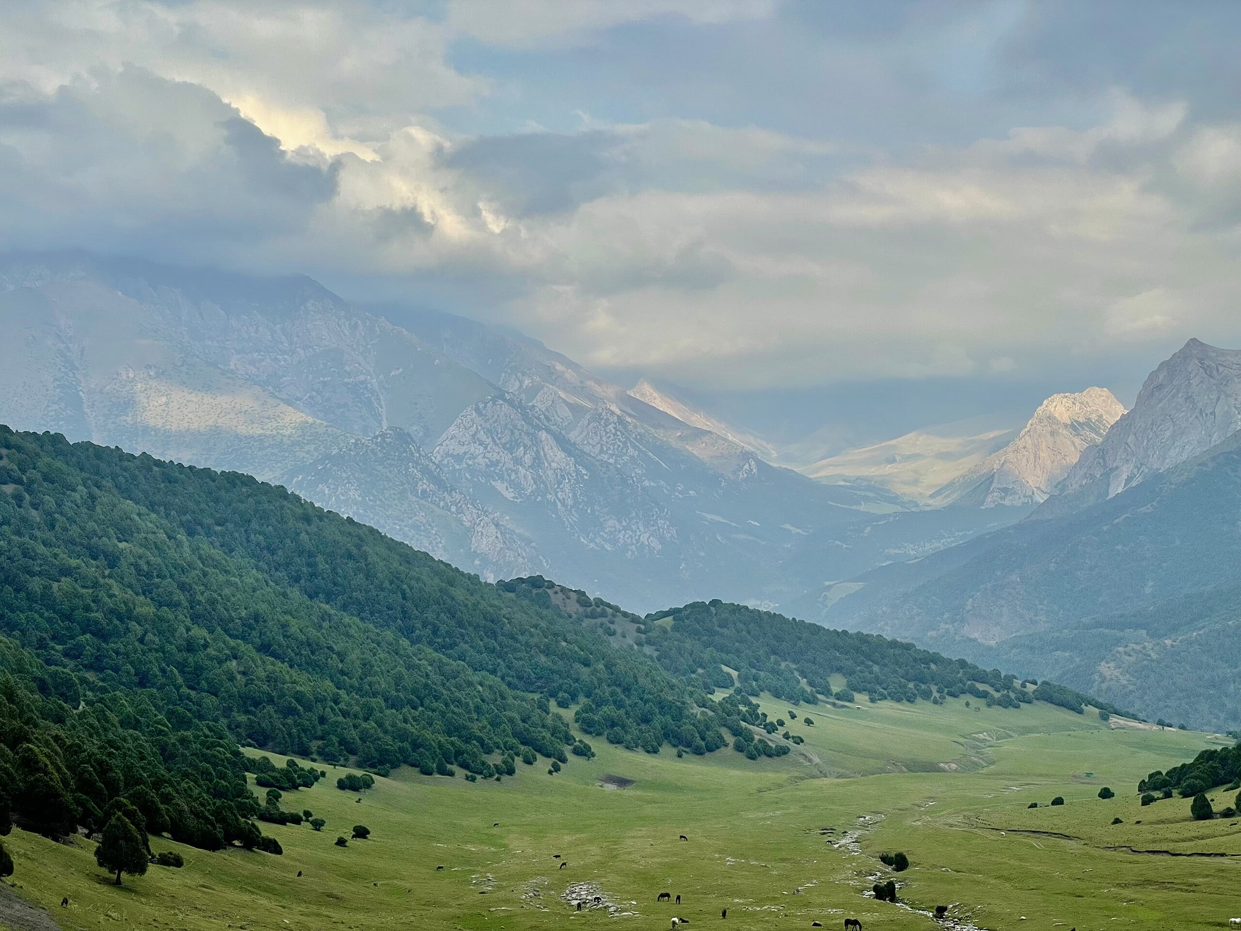 Kyrgyzstan achieves food security through self-suffciency